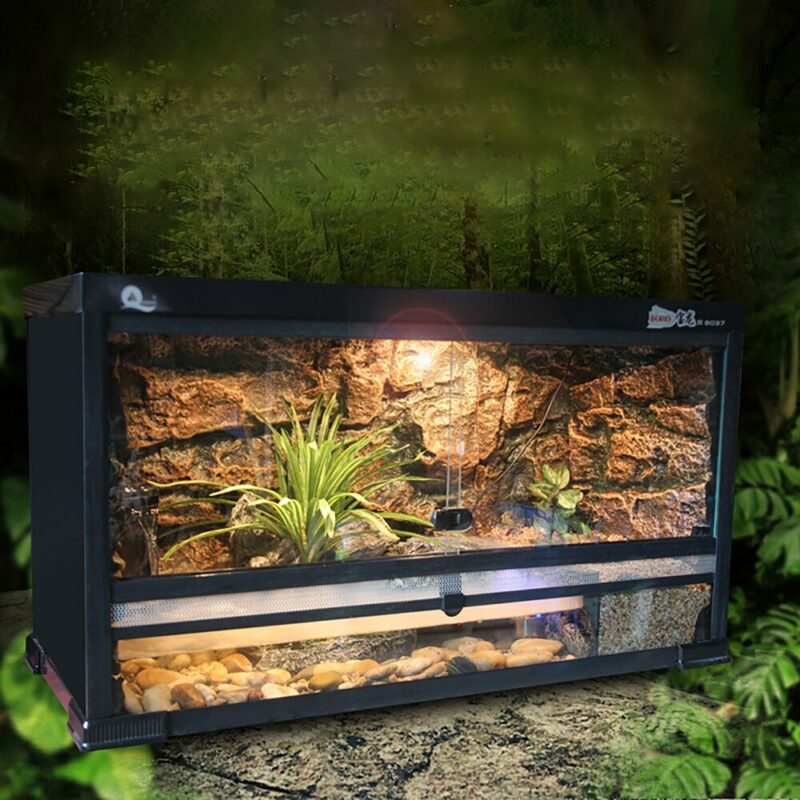 Rainforest Vivarium Turtle Tank Kit For Salamanders Tree Frogs Includes