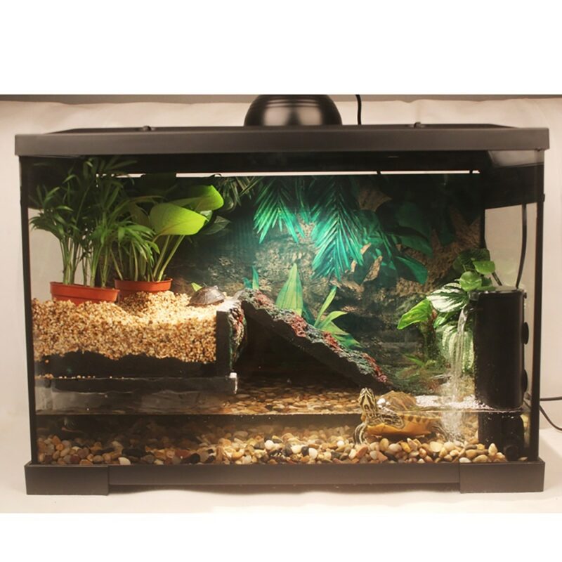 Complete Aquatic Turtle Tank Kit With Filter Basking Platform Mesh Lid