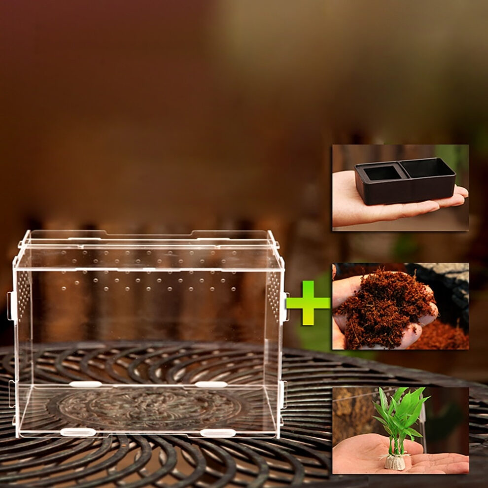 Acrylic Reptile Terrarium Kit Vivarium Substrate Water Bowl Plant For
