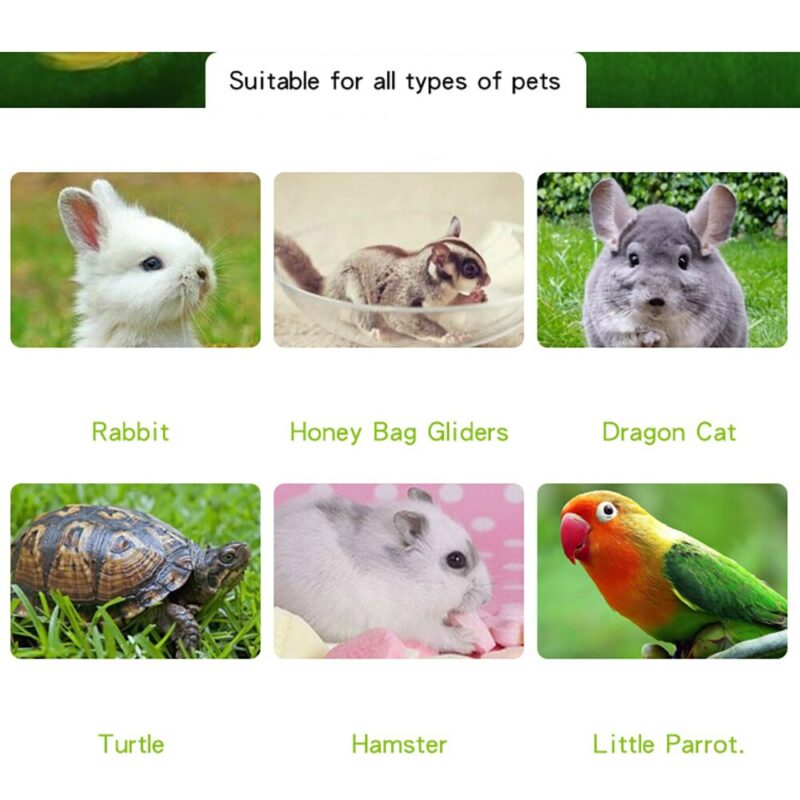 Infrared Ceramic Pet Heating Lamp With Safety Cage For Reptiles ...