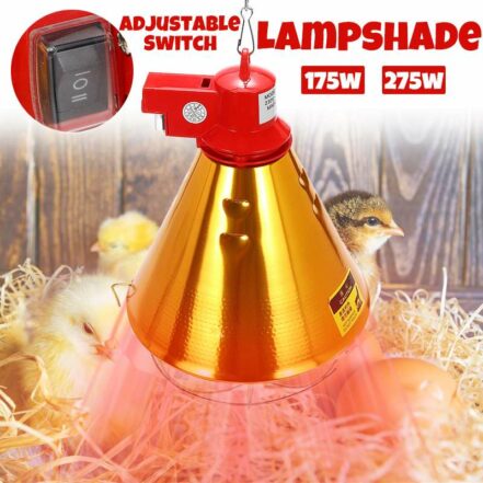 Infrared Ceramic Pet Heating Lamp With Safety Cage For Reptiles ...