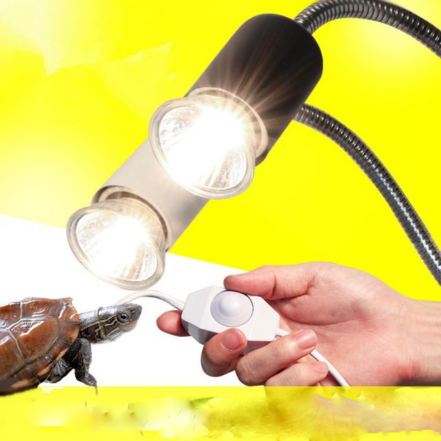 Infrared Ceramic Pet Heating Lamp With Safety Cage For Reptiles ...