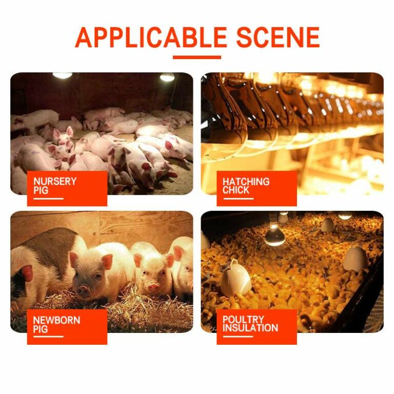 Infrared Ceramic Pet Heating Lamp With Safety Cage For Reptiles