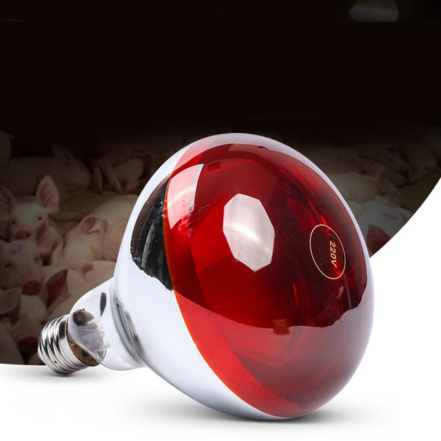Infrared Ceramic Pet Heating Lamp With Safety Cage For Reptiles ...