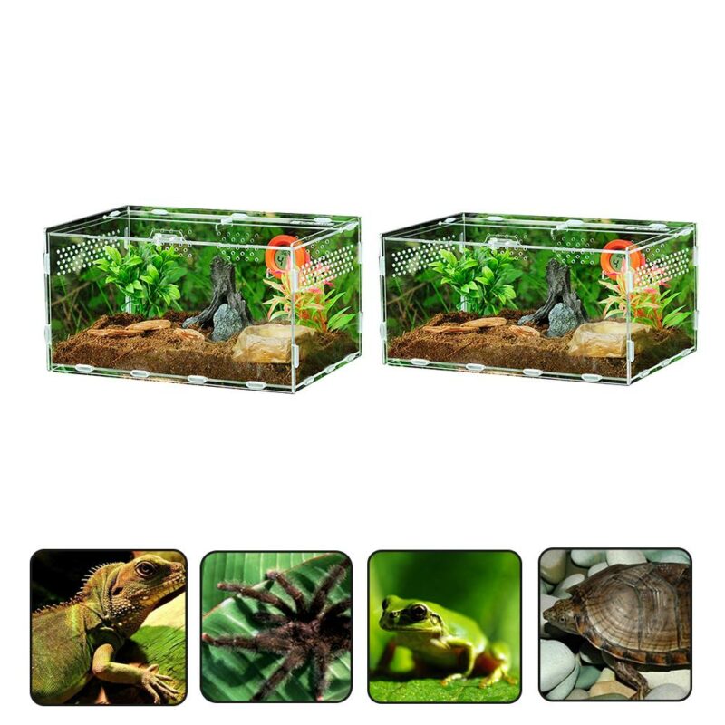 Transparent Acrylic Reptile Feeding Box For Spiders Frogs Scorpions