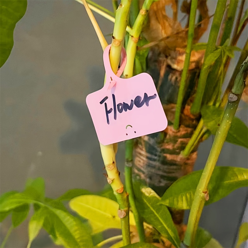 100pcs Tshaped Plant Tags With Watermark Pen For Garden Identification - 3